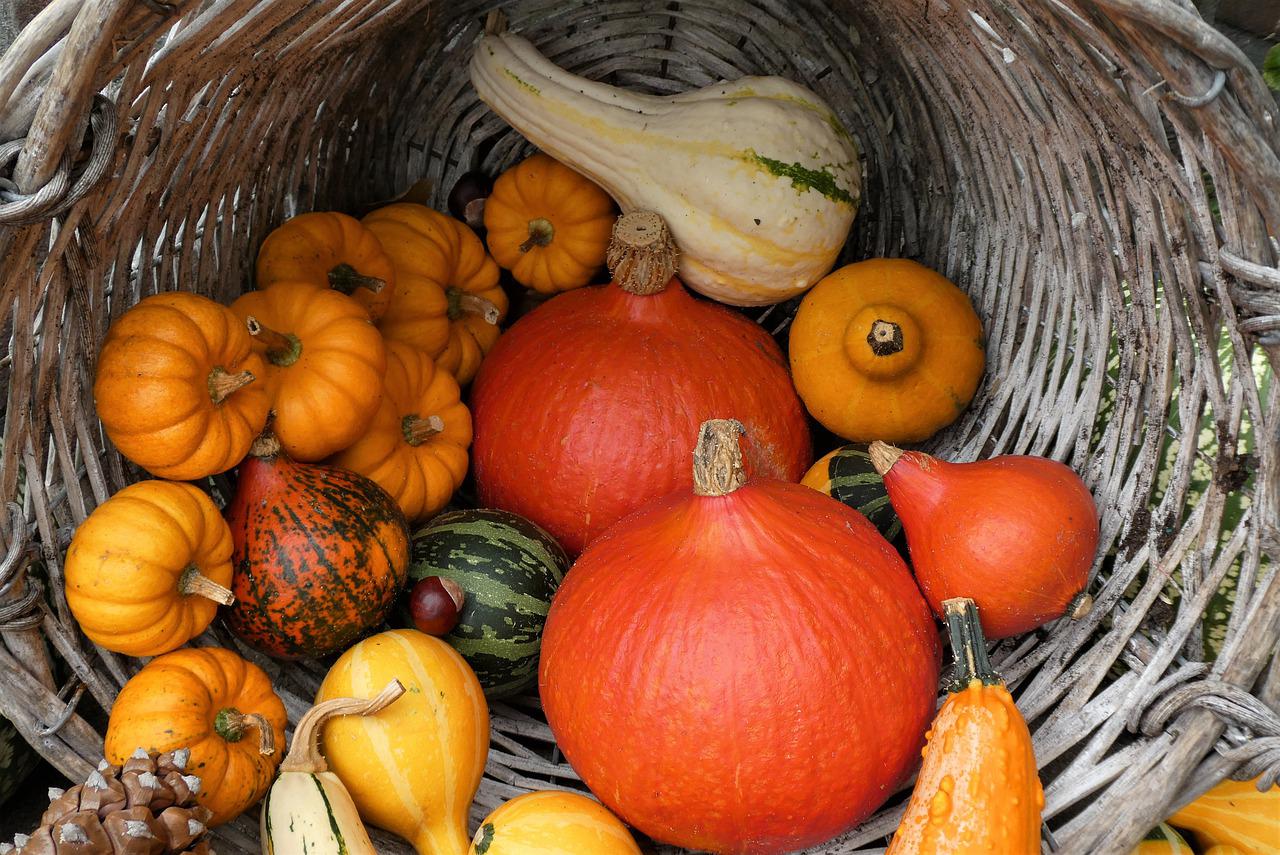 Do The Various Kinds of Winter Squash Differ in Nutrients or Recommended Preparation?