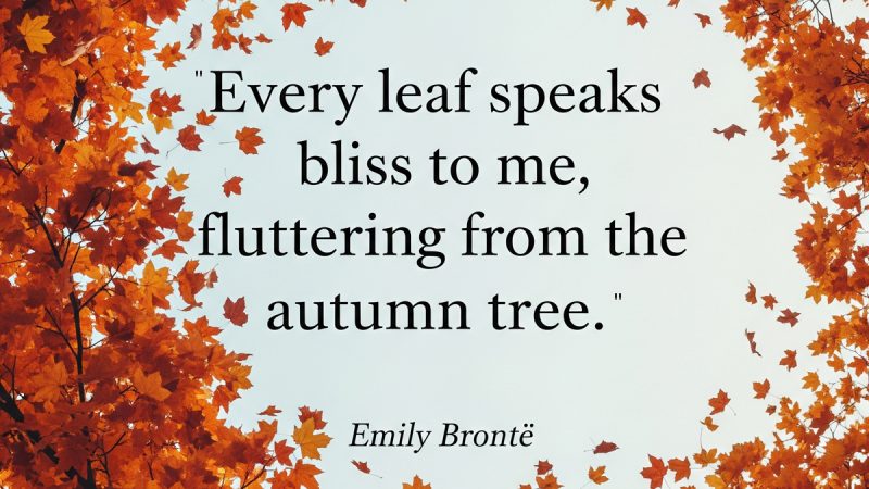 Every Leaf – Emily Bronte