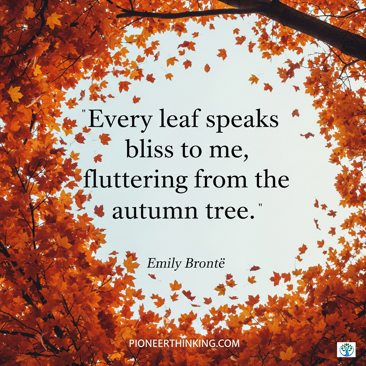 Every Leaf – Emily Bronte
