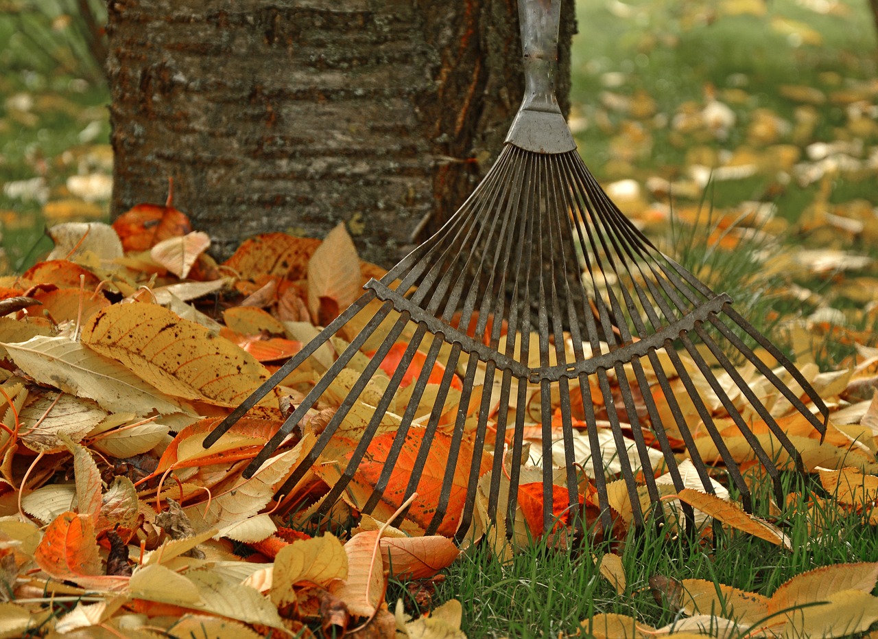 Best Ways to Use Fall Leaves in Your Garden