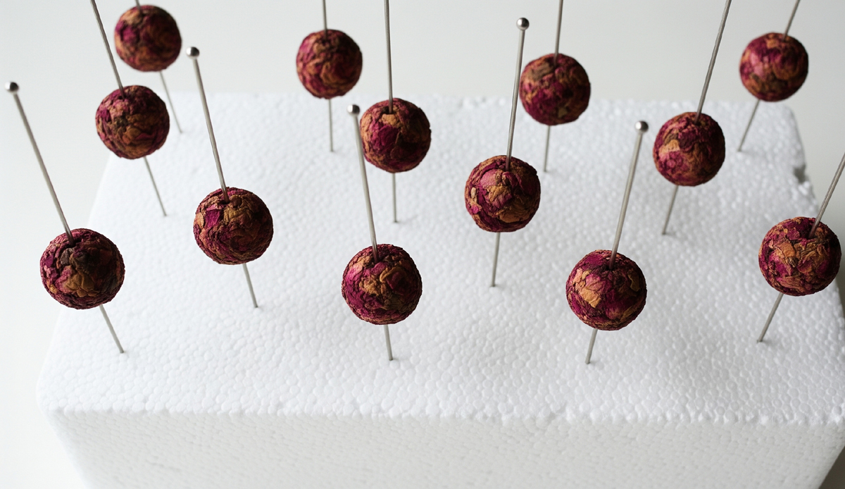  A top-down view of several small, round, dark red and magenta rose petal beads drying on long silver hat pins stuck into a white styrofoam block.