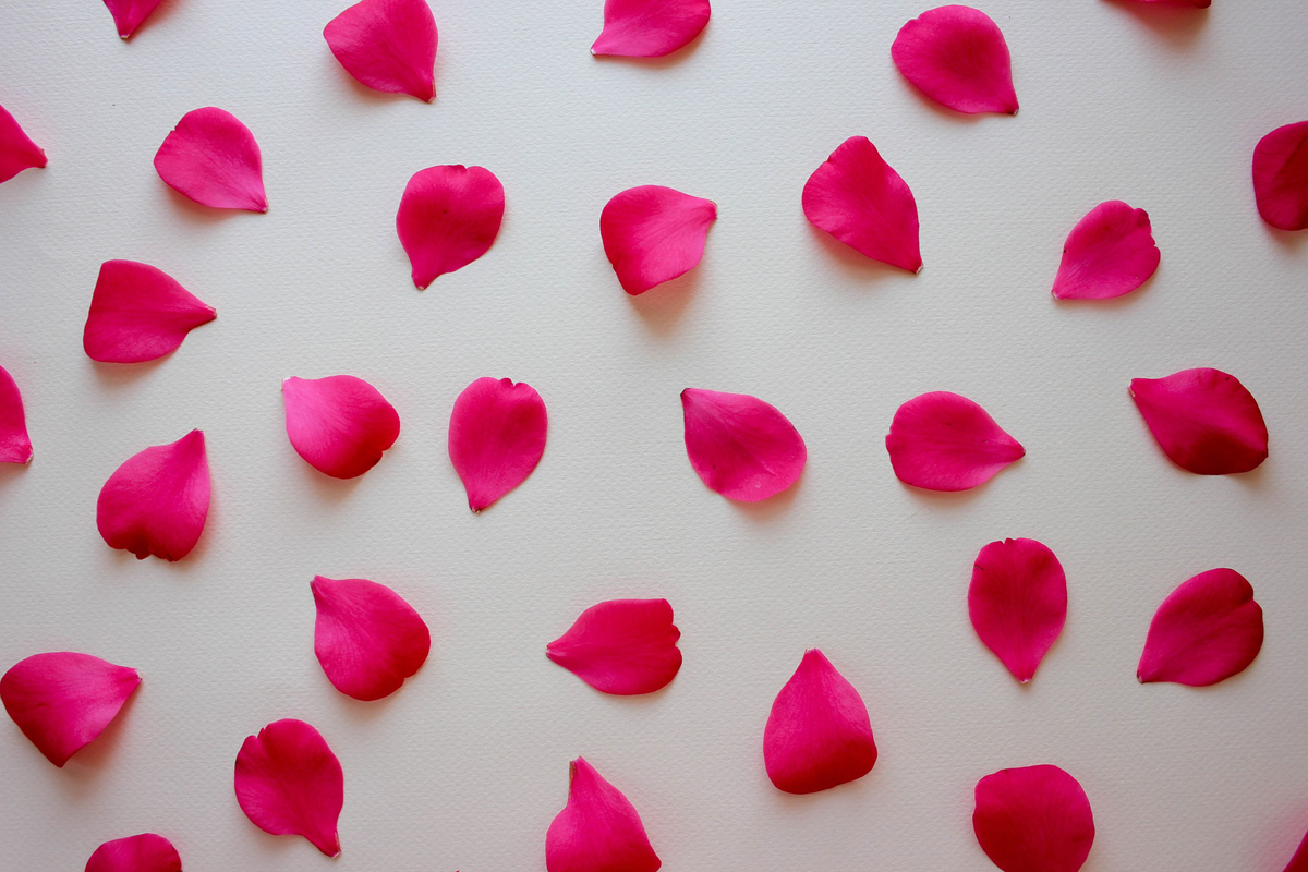 Some of The Many Uses of Rose Petals