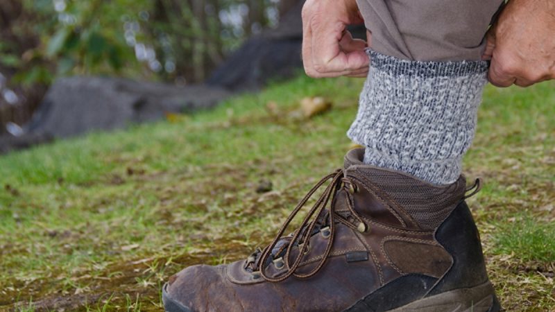 Tick Removal: How to Safely Get Them Out