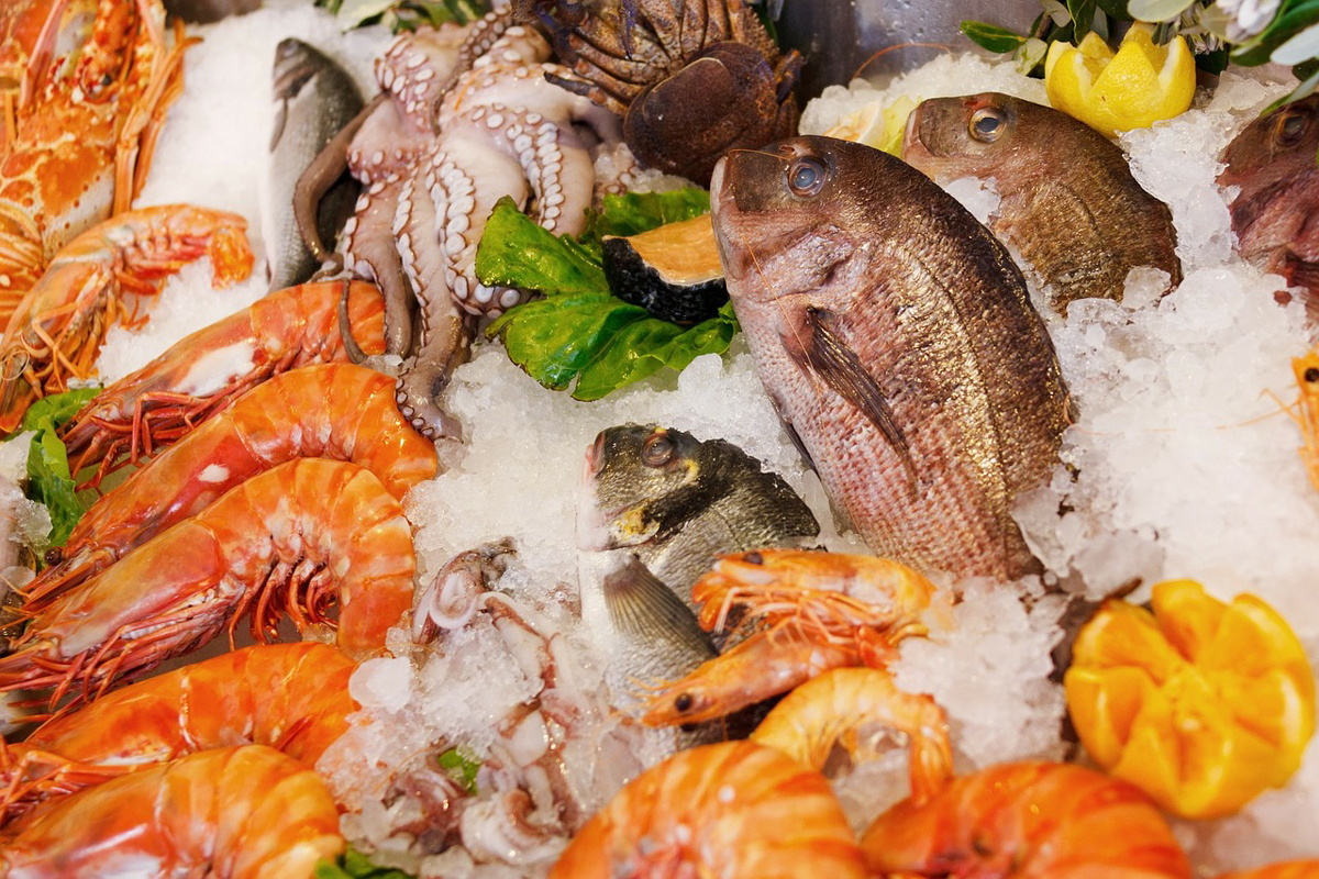 Ways to Keep Seafood Fresh
