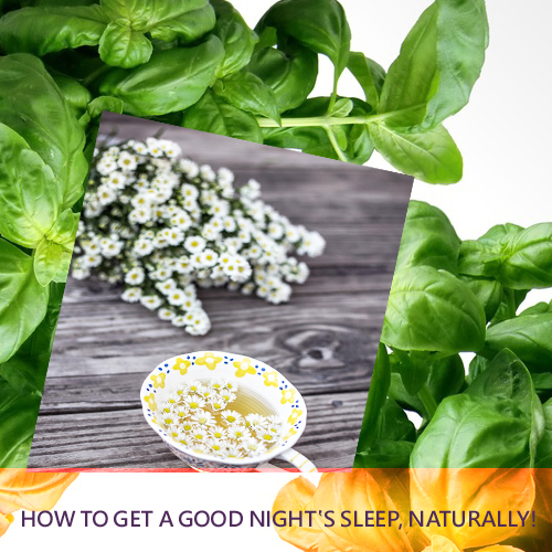 Insomniac? Learn How to Get a Good Night's Sleep, Naturally!