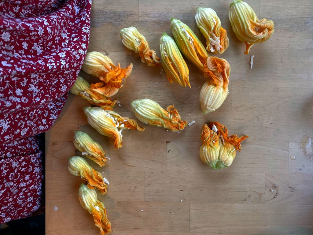 Fried Squash Flowers