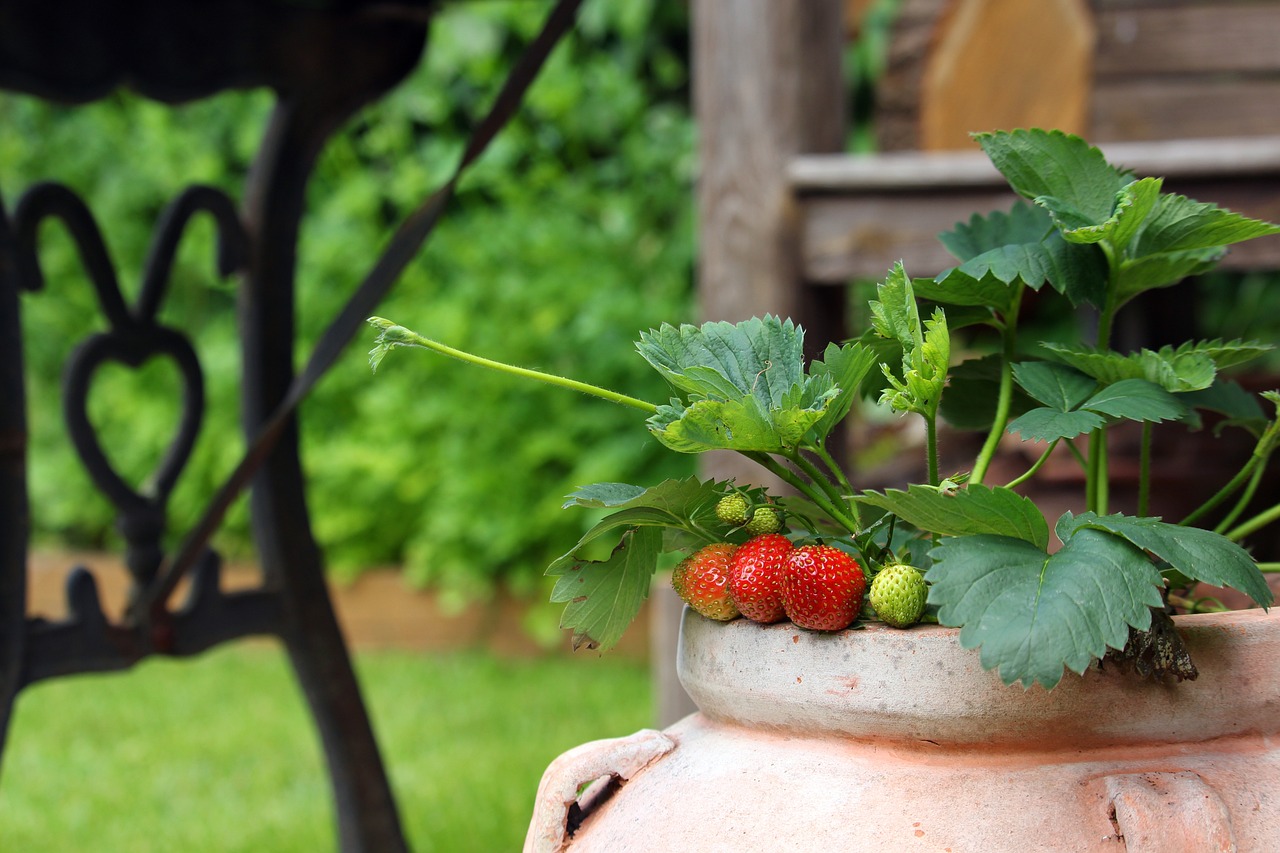 28 Tips for Container Gardening