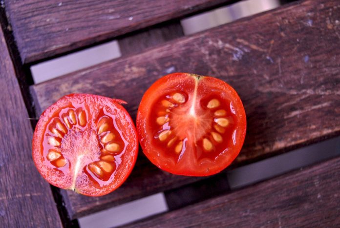 When to Plant Tomato Seeds!