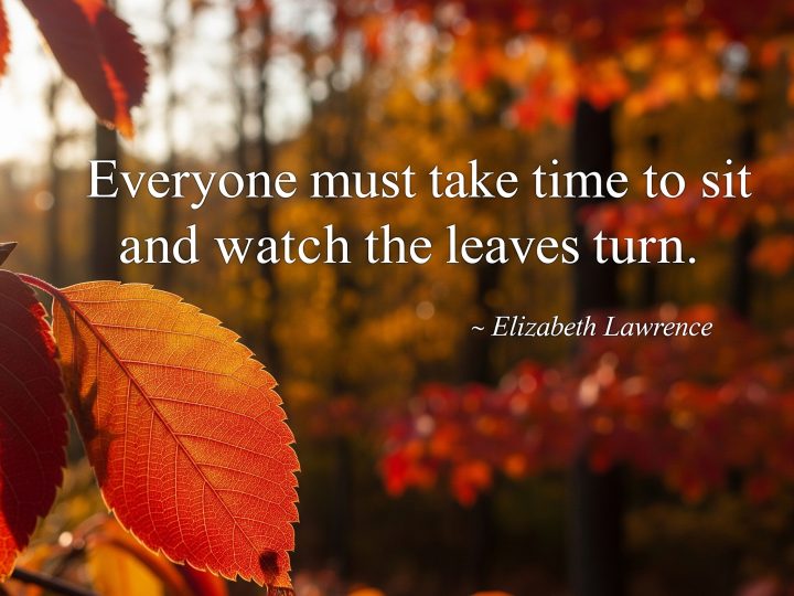 Watch The Leaves Turn – Elizabeth Lawrence