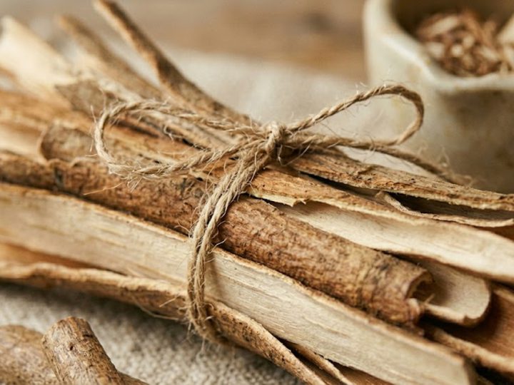 Top Herbal Remedies for Managing Pain