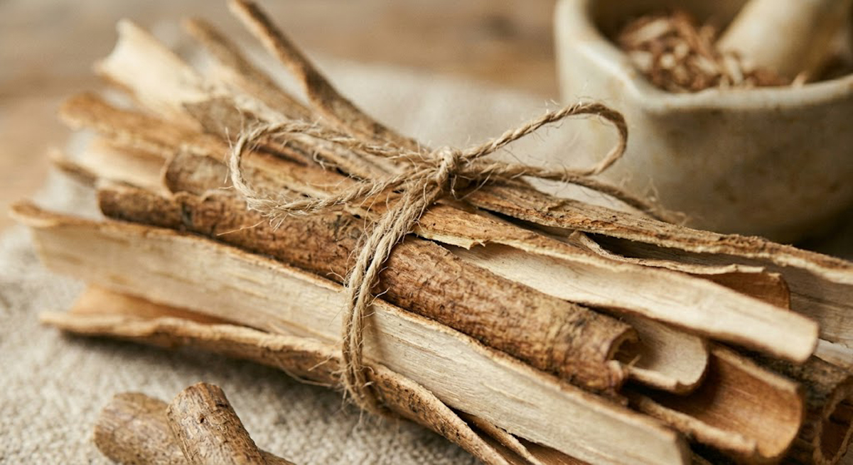 Top Herbal Remedies for Managing Pain