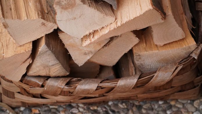 Which Type of Firewood is The Best to Burn in a Wood Stove?